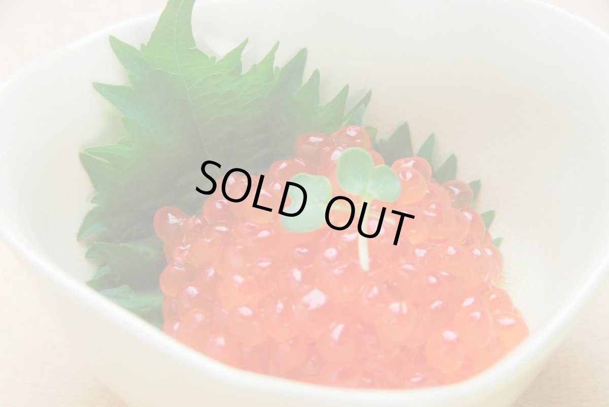 画像2: くしろ喰処「シャケ番屋」鮭といくらの親子セット【道内送料込み】 (2)