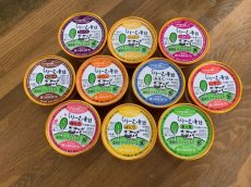 画像2: くりーむ童話アイスクリーム10個セット【道内送料込み】 (2)